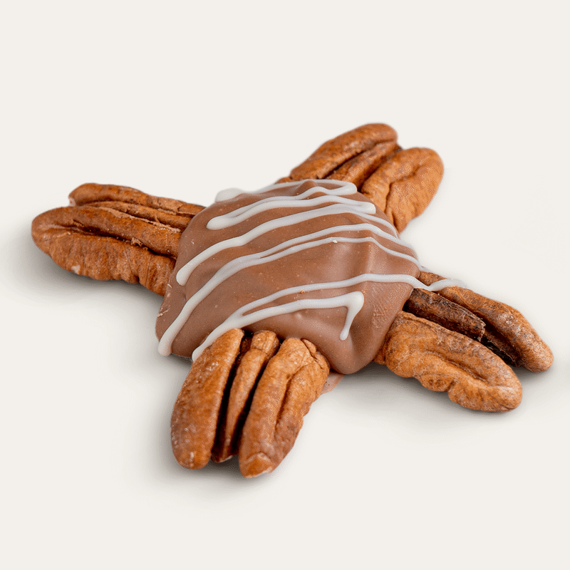 Tortuguita nuez leche